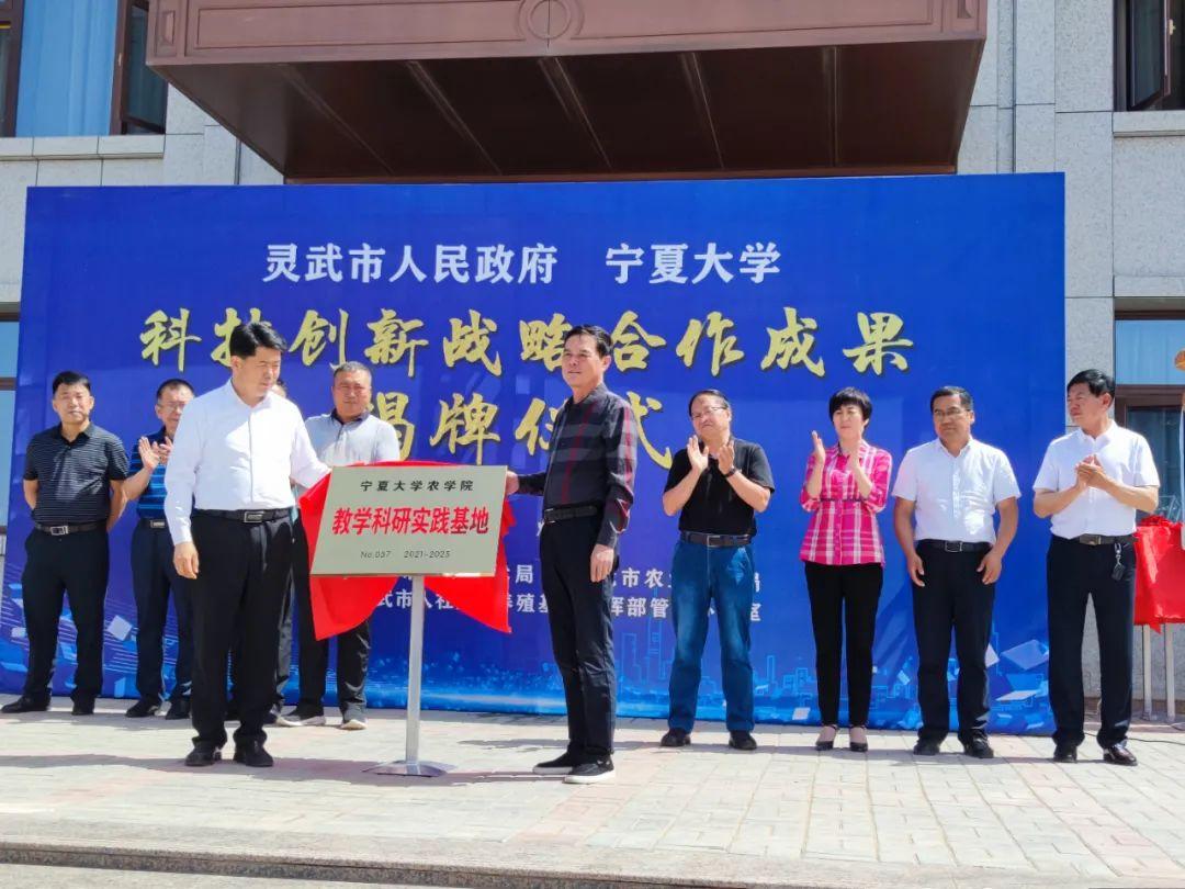 新澳精准资料免费提供，科学解答解释落实_战略版94.23.71