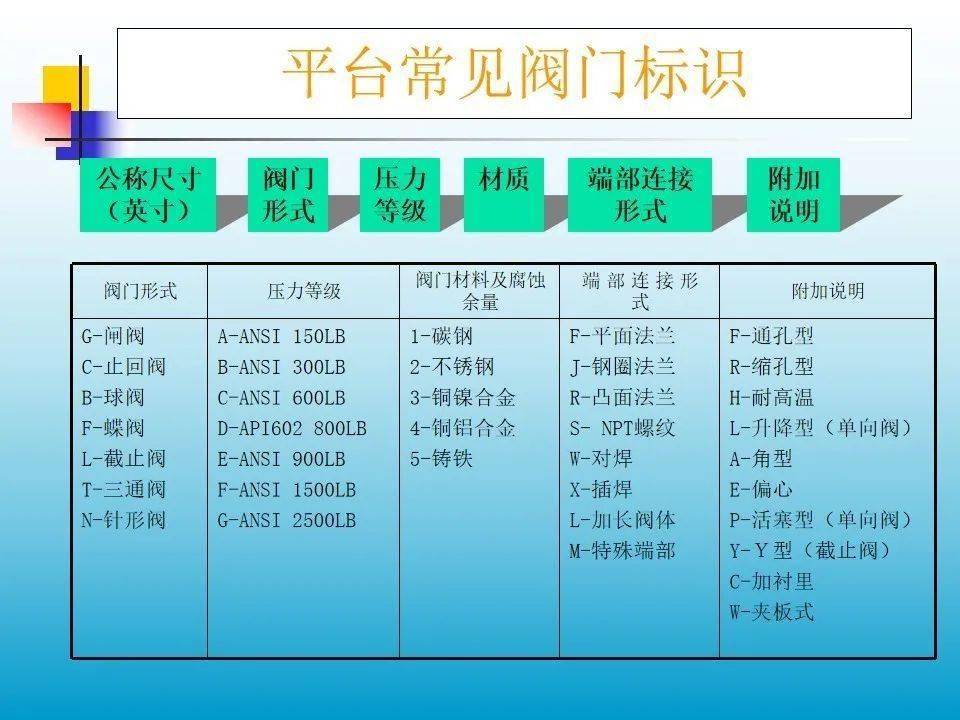 2024新奥门资料查询，领域解答解释落实_The84.79.73
